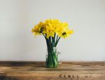 Spring cleaning your window products